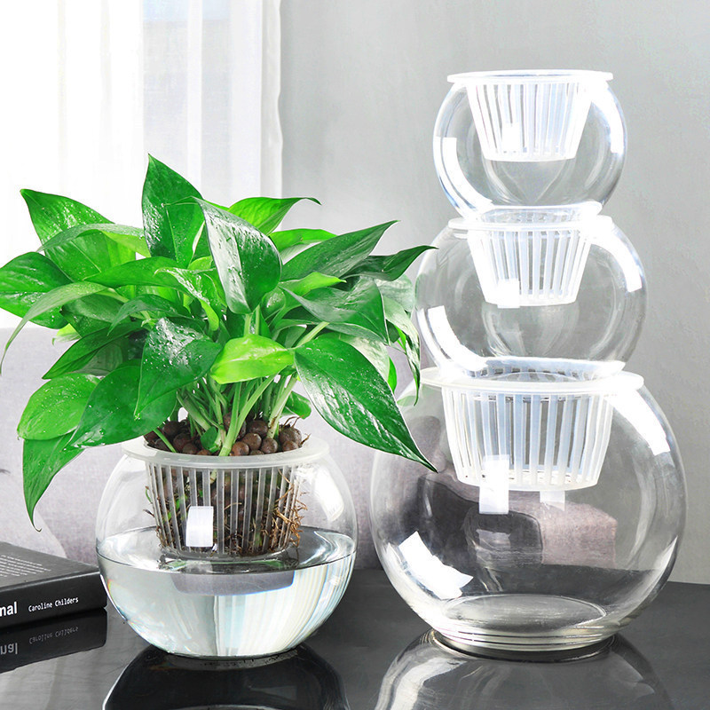 O1CN01olAnEW1y8cTw3Q6hu_!!0-it