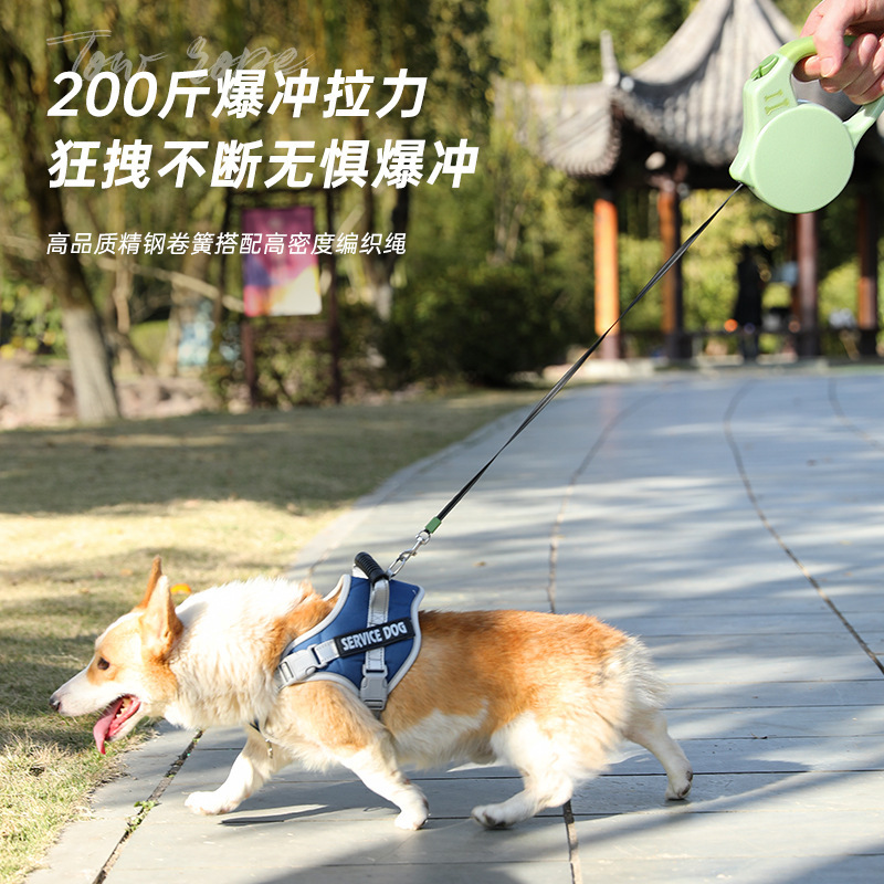 犬用リード、犬用リード、犬用散歩ロープ、自動格納式小型・中型犬用ペット柴犬子犬コーギー犬用リード|undefined