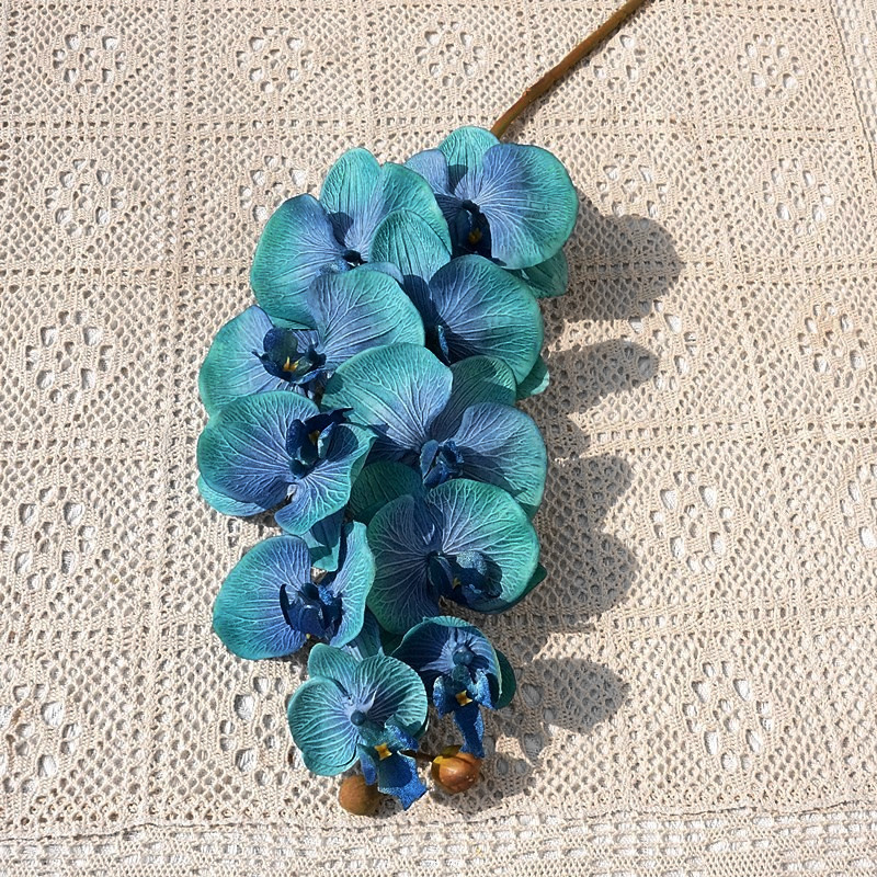 O1CN01g58CSI1s540jr5L8F_!!4036