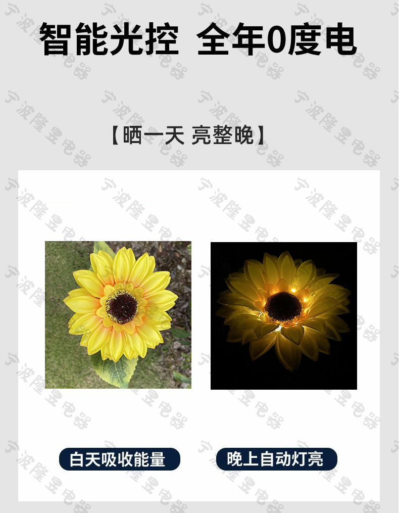 向日葵 亮灯图 水印.jpg