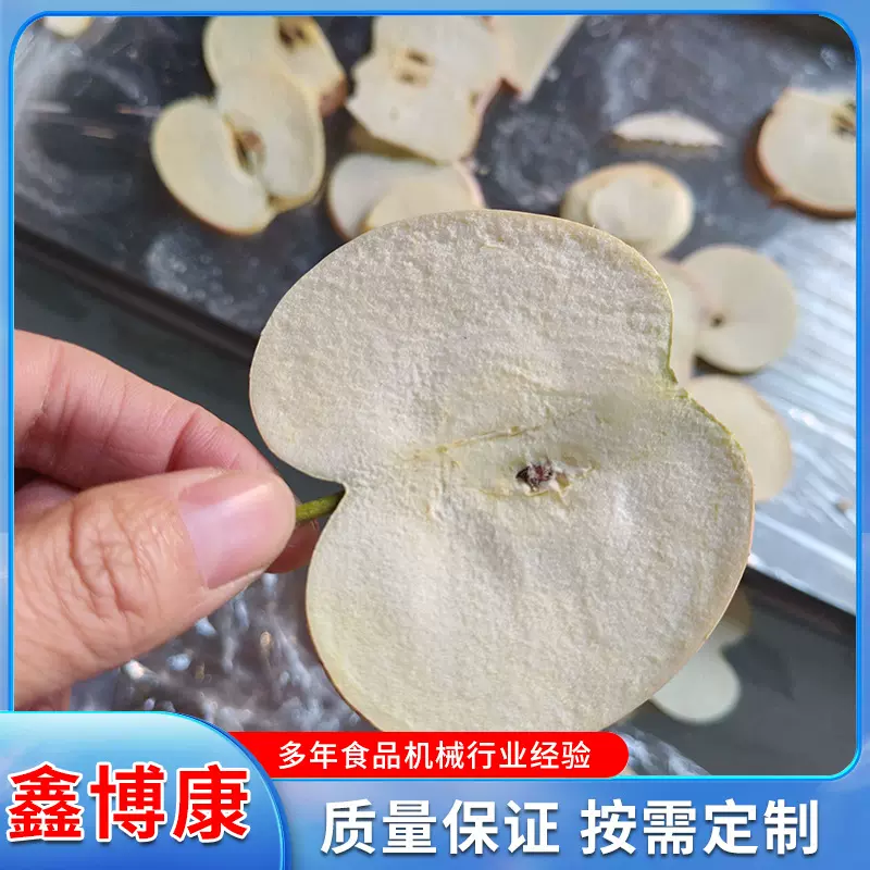 苹果片真空冻干机 宠物食品真空冷冻干燥机 1平方果蔬冻干机厂家