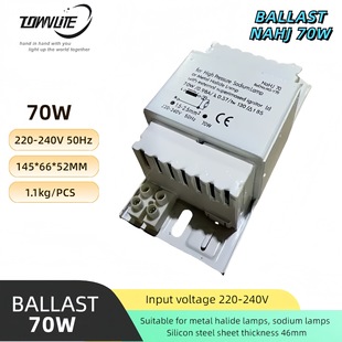 Export VS design with heat dissipation holes 70W/150W/250W metal halide lamp sodium lamp mercury lamp ballast