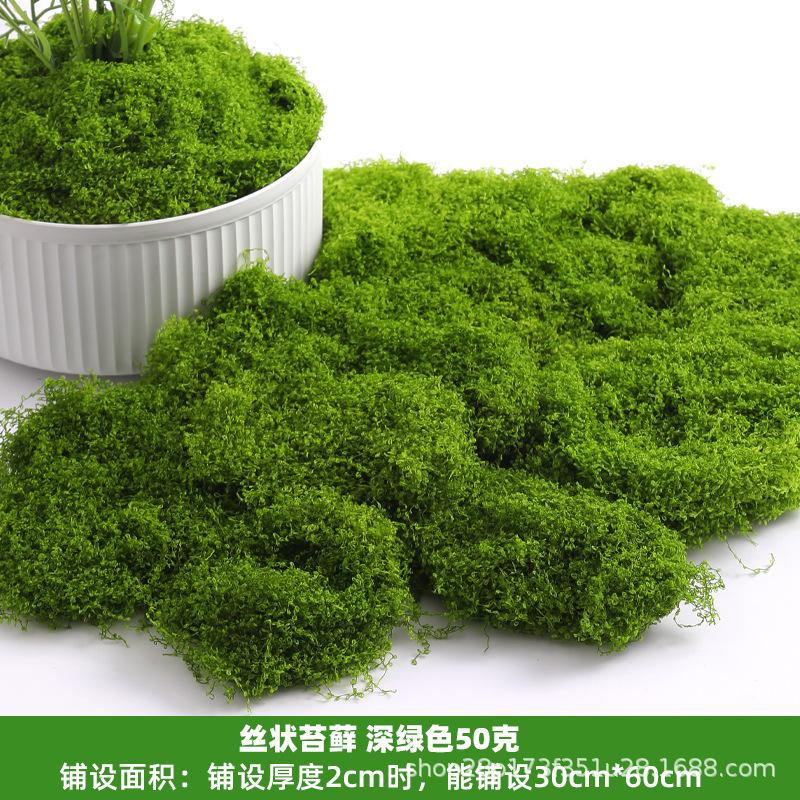 深绿丝状苔藓50克