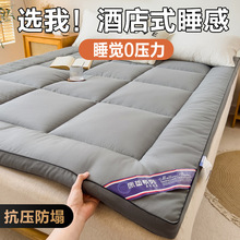 酒店專用床墊軟墊家用榻榻米墊子床褥子卧室地鋪睡墊租房單人墊被