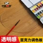 方形椭圆亚克力透明调色盘