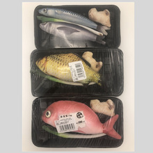 �ձ�Kojima؈������؈����� ��ľ��ޤ؈؈�����~���؈�以��