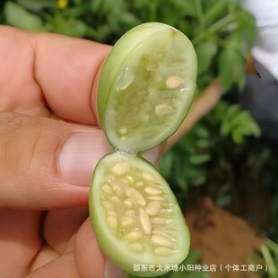 ����Ĵָ��ϷN��Ұ���R�ݹ�Ұ���N��ͥԺ�̨����С����R������