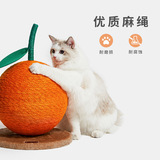 Слабая апельсиновая кошка кошка кошка кошка кошачья кошачья кошка кошка кошачья кошка