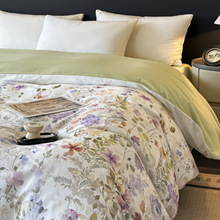 新款A类母婴级秋冬保暖锁温全棉磨毛印花四件套床单被套床上用品