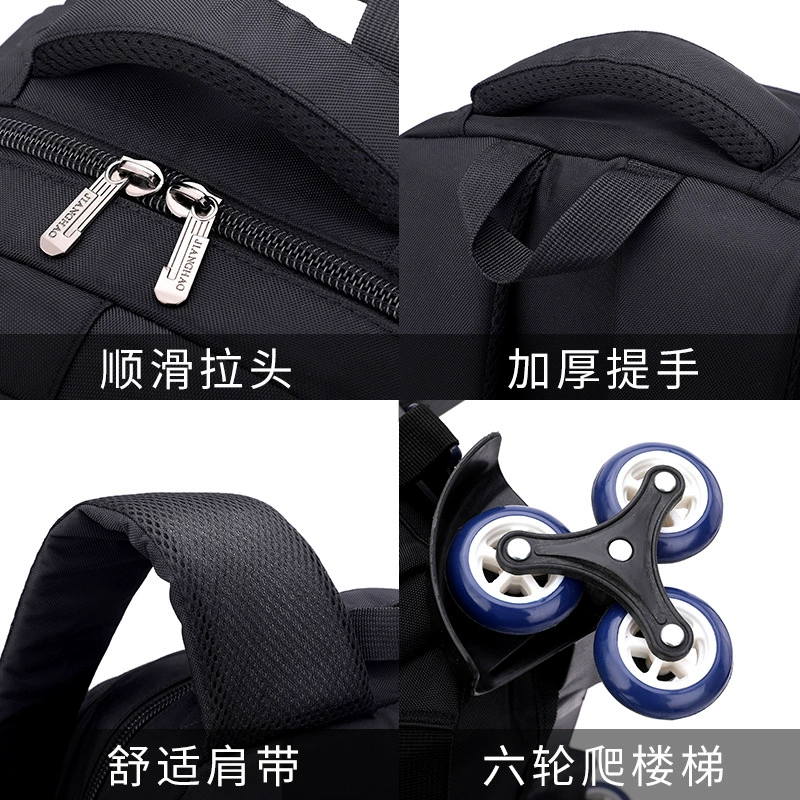 Natural fish Capacious suitcase, backpack, 3-6 years, for secondary school
