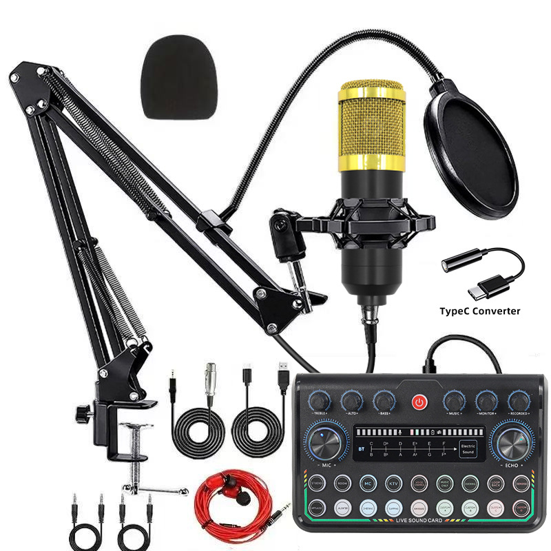 bm800 dorado + P99 + conjunto de conversión typec + auriculares