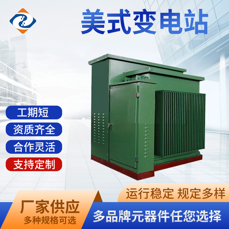 美式变压器欧式变压器箱变欧变工程箱变电力工程竞标美变厂家