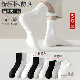 5 pairs of Xinjiang cotton socks deodorant men's and women's sports socks spring and summer short tube shallow mouth boat socks pure white medium stockings