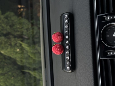 Moving Car, High-End Car Phone Nömrəli dayanma kartı - 2-lychees-large-black-number-plate-free-traceless-glue