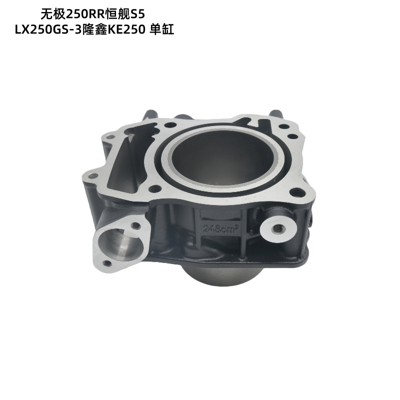 In-Stock Motorcycle Engine Parts for Infinix 250Rr, Hengjian S5Lx250Gs-3, Loncin Ke250, Cylinder Block