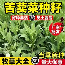 �����˷N���ļ��߮a���������ݷN�Ѷ���ո������Bֳ����ϲʳ����