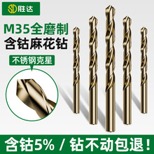 ���_M35��������������黨荲��P䓰���荻���^�F������^