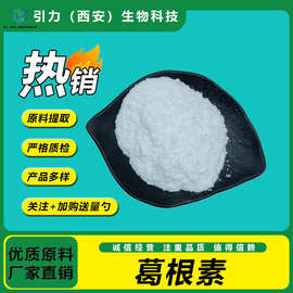 葛根素98%  葛根提取物 水溶 量大价优 引力现货