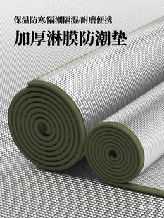 Moisture-Proof Mat Thickened Outdoor Portable Picnic Mat Waterproof Picnic Home Tent Double Single Dormitory Sleeping Mat Floor Mat