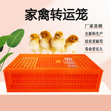 �����D�\�� �u�\ݔ�\ �u�����D�� �\ݔ�u�\ �u���������D���\ݔ�\