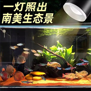 Cool fish fish tank zoom lamp spotlight South American tank stream tank landscaping water grass lamp lighting fish tank lamp clip lamp
