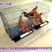 �u�\�Ӽ����Bֳ�\�ۯB�����дּ������ӻ\�����̖���ӌ����F�z�W