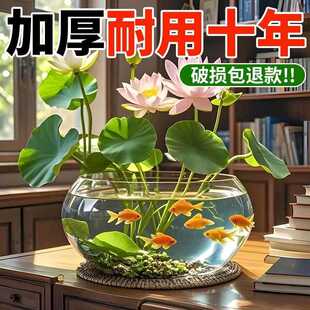 ˮ�ಣ����ƿ͸����ɏ�ɻ��~�X������B˯ɏ�Č��û����~��ֲ����