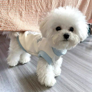 ���ﹷ���·��ļ�����̩�ϱ��ܲ�������ëС����Ȯ����؈�䱳��