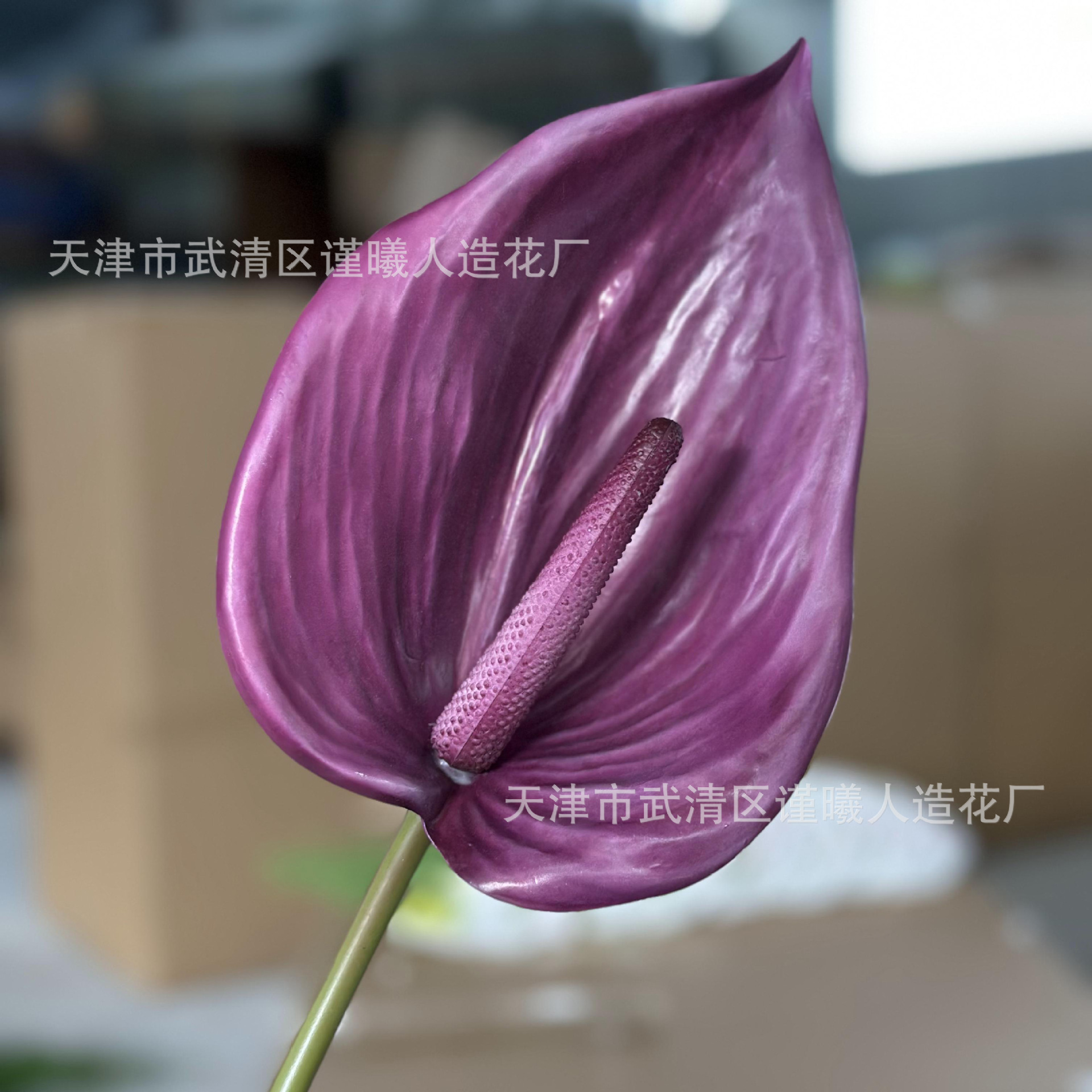 관음