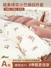 A2024¿Ʒļ׼޴α4ҌWļ