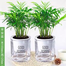 �k����С��������Ҭ��ϲ��҃�ˮ��ֲ������ɢβ����������Gֲ