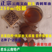云南野生青刺果油 农家自榨自销 营养油250ml包邮 不满意包退