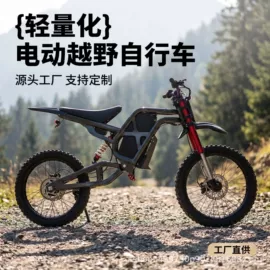 电动摩托车;电动自行车;车架