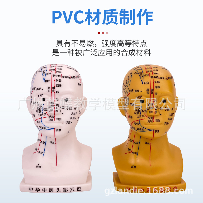 �ֶ����ͷ��Ѩλģ�� ��װ�Ħ�Ų��㲿������ģ�Ͱ�Ħ��İ���