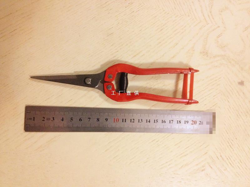 葡萄剪桔子剪刀稀果剪番茄剪摘花椒剪刀蔬果剪直头剪