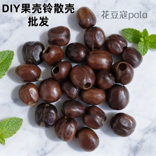 ��Ȼ�����diy���ϰ�����ޢPalaֲ������֓u⏹����L��������l