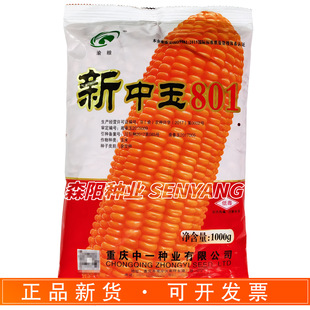 ��Z������801���׷N�Ӈ��������������ճ���װ��S����s������