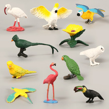 仿真火烈鸟鹦鹉蜂鸟飞禽动物模型10件套装 实心搪胶鸟类玩具摆件