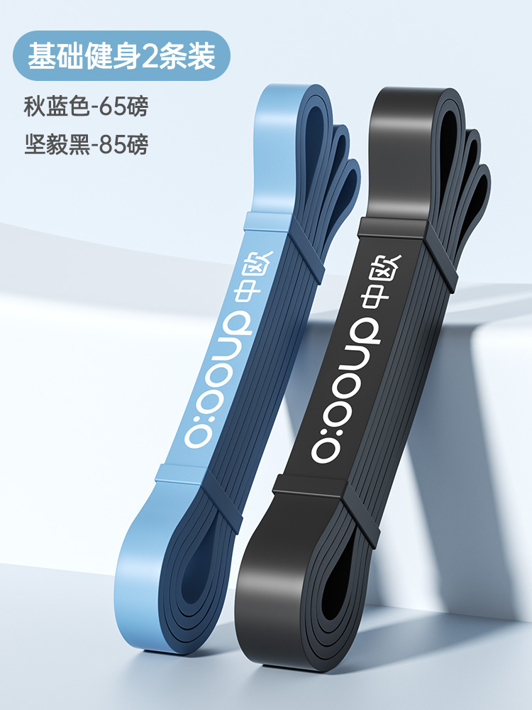 1.3/2.2 [기본 체력 2 팩] 65 lb 어텀 블루 _85lb 브루 블루