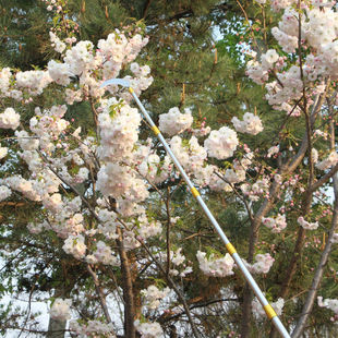 【5- 10m 】Multifunctional Stainless Steel Telescopic Pole Fruit Picker Pole Acacia Fishing Grass Cutter Cinnamorol Hook