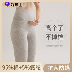 現物の学生の純綿の秋のズボンの女性の中で薄い金の春秋の保温のズボンの高い腰の女性の新型の修身の工場の卸売りを着ます。
