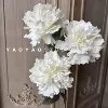 Coated large peony white