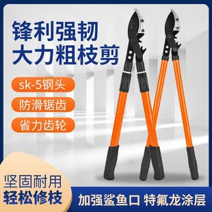 �@�ֹ�����֦���߿՘�֦��֦��s���ӏ��������X݆����������֦��