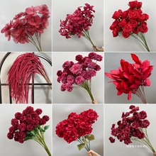 ������c���ٻ���t�Ƽtӆ����ʽ��Y�b廨��·���Ż���픻�ˇ