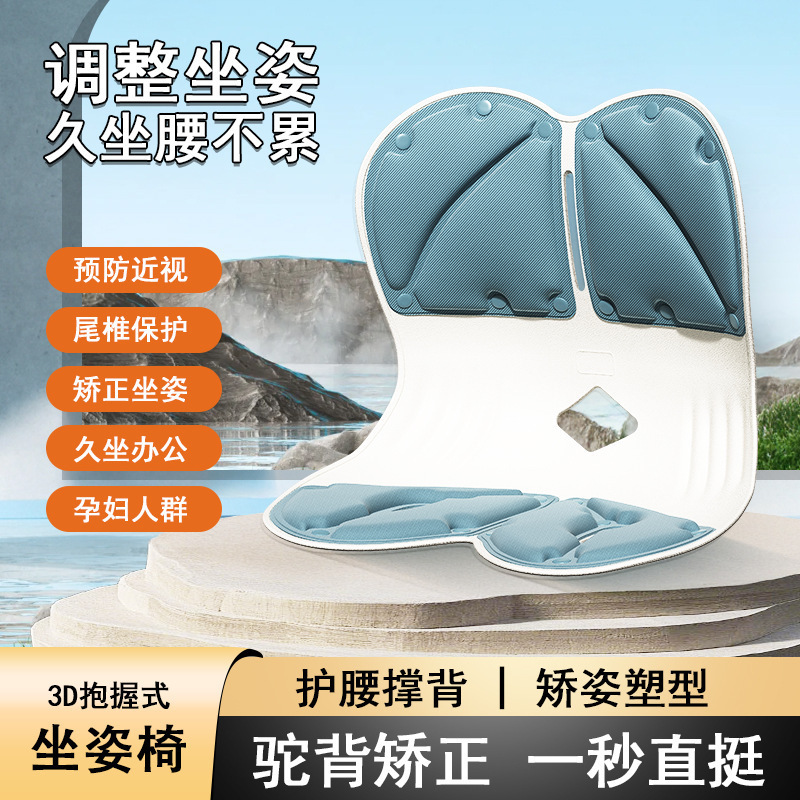 Waist Protection and Posture Correction Cushion for Office Sitting for a Long Time Without Fatigue. Student Correction Waist Protection Cushion. Removable and Washable Waist Protection Cushion