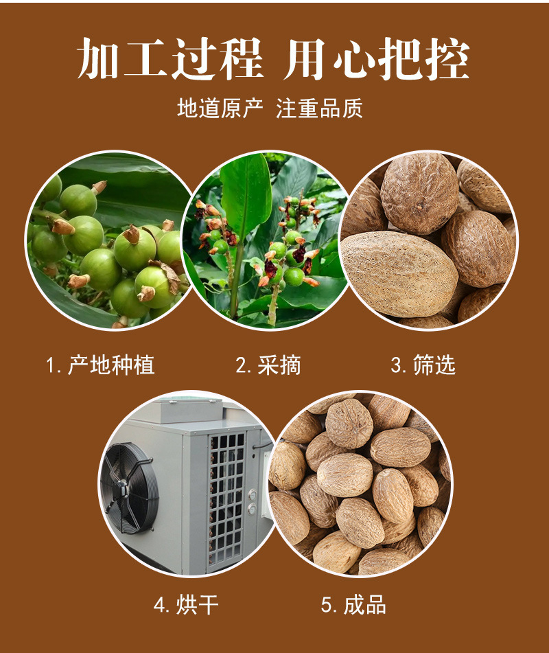 Rou Kou (Myristica fragrans) — Dried Nutmeg Spice for Hotpot & Culinary Use preparation