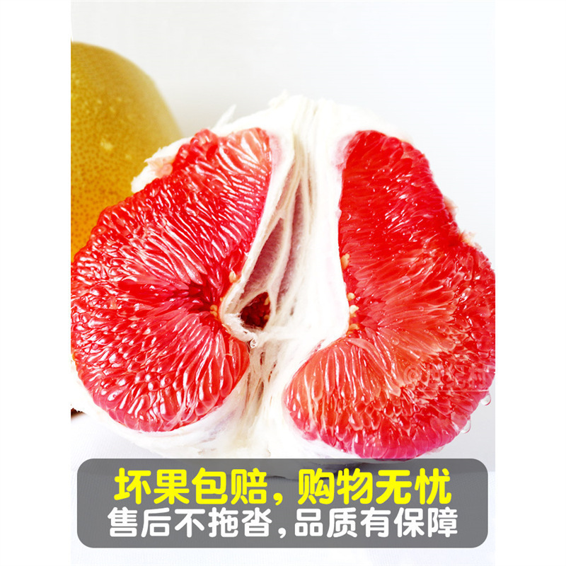 2.5kg _중대형 과일로 만든 미식가 팩(단일 과일 무게 0.9-1.4kg), 원산지에서 직접 배송됩니다!