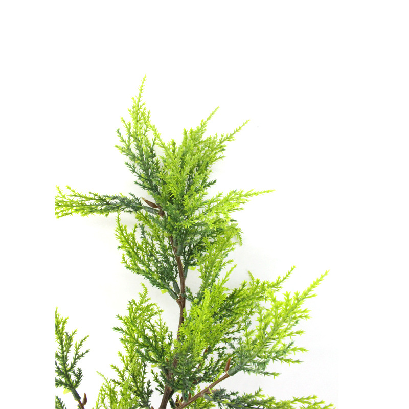XRB-176 小柏叶四叉枝立体30叶0.5米3.jpg