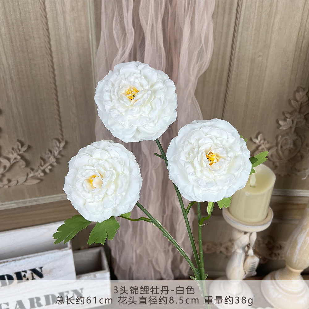 HZ-3 หัวปลาคาร์พโคอิ ลายดอกโบตั๋น - สีขาว