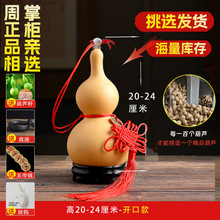 ��Ȼ���J�����С�����^�[���_��ľ���J�͏d�k��ؔ����Ѽ���